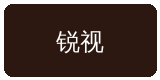 搜同网合作伙伴锐视传媒